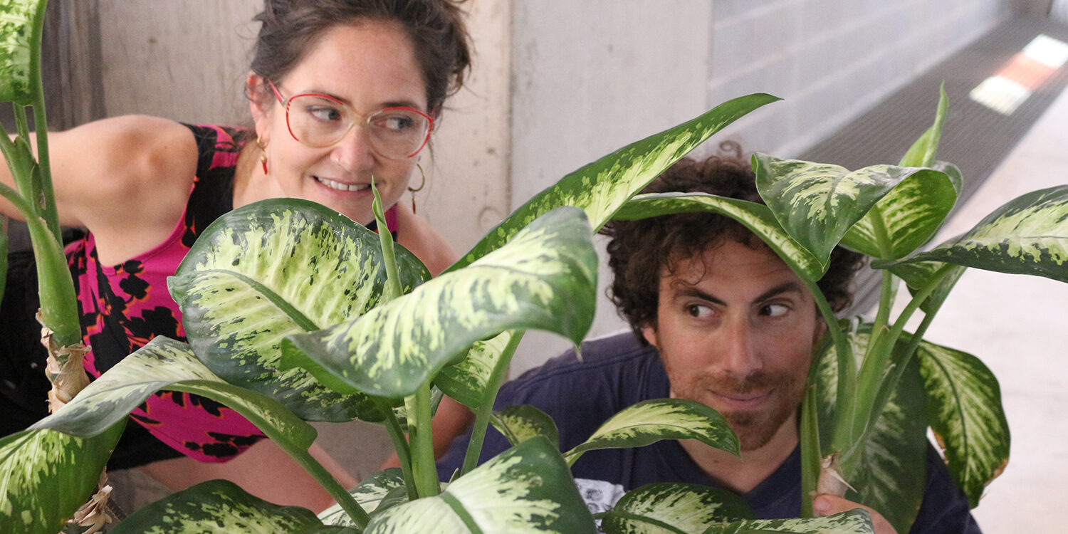 Convocatoria abierta para el Taller de Artista con Lucha Emilia y Gregorio Torchia